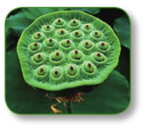 pagenumber_ebook=303,pagenumber_book=290