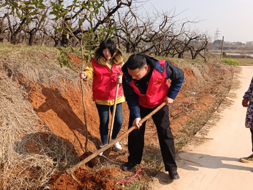 image image.png?v=1762619648755