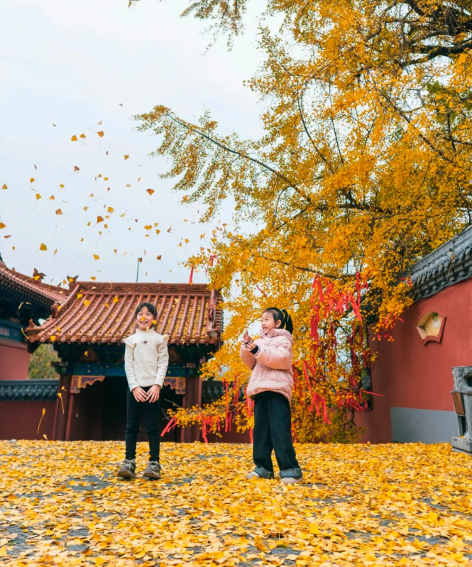 129946e4511c26bb98eaa6baa96c5666png