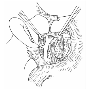 pagenumber_ebook=295,pagenumber_book=287
