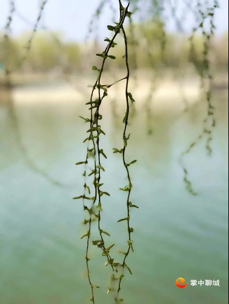 微信图片_20210308084855 微信图片_20210308084855.jpg