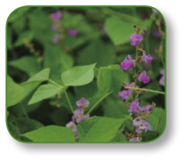 pagenumber_ebook=258,pagenumber_book=245