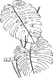 pagenumber_ebook=255,pagenumber_book=255