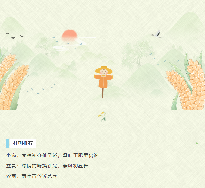 image.png?v=1782173729533