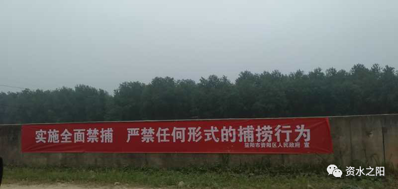 1 1.png?v=1765946531306