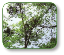 pagenumber_ebook=103,pagenumber_book=90