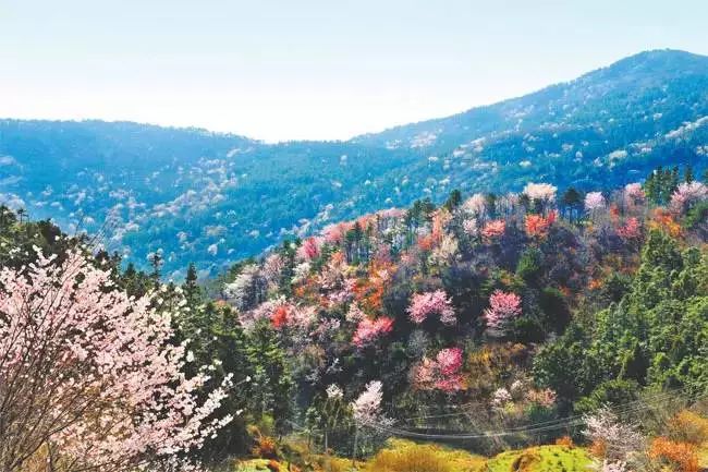 fdb321f3566770844c90a935d11ab551 fdb321f3566770844c90a935d11ab551.jpg