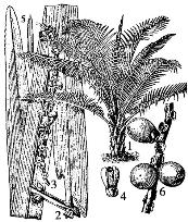 pagenumber_ebook=110,pagenumber_book=110