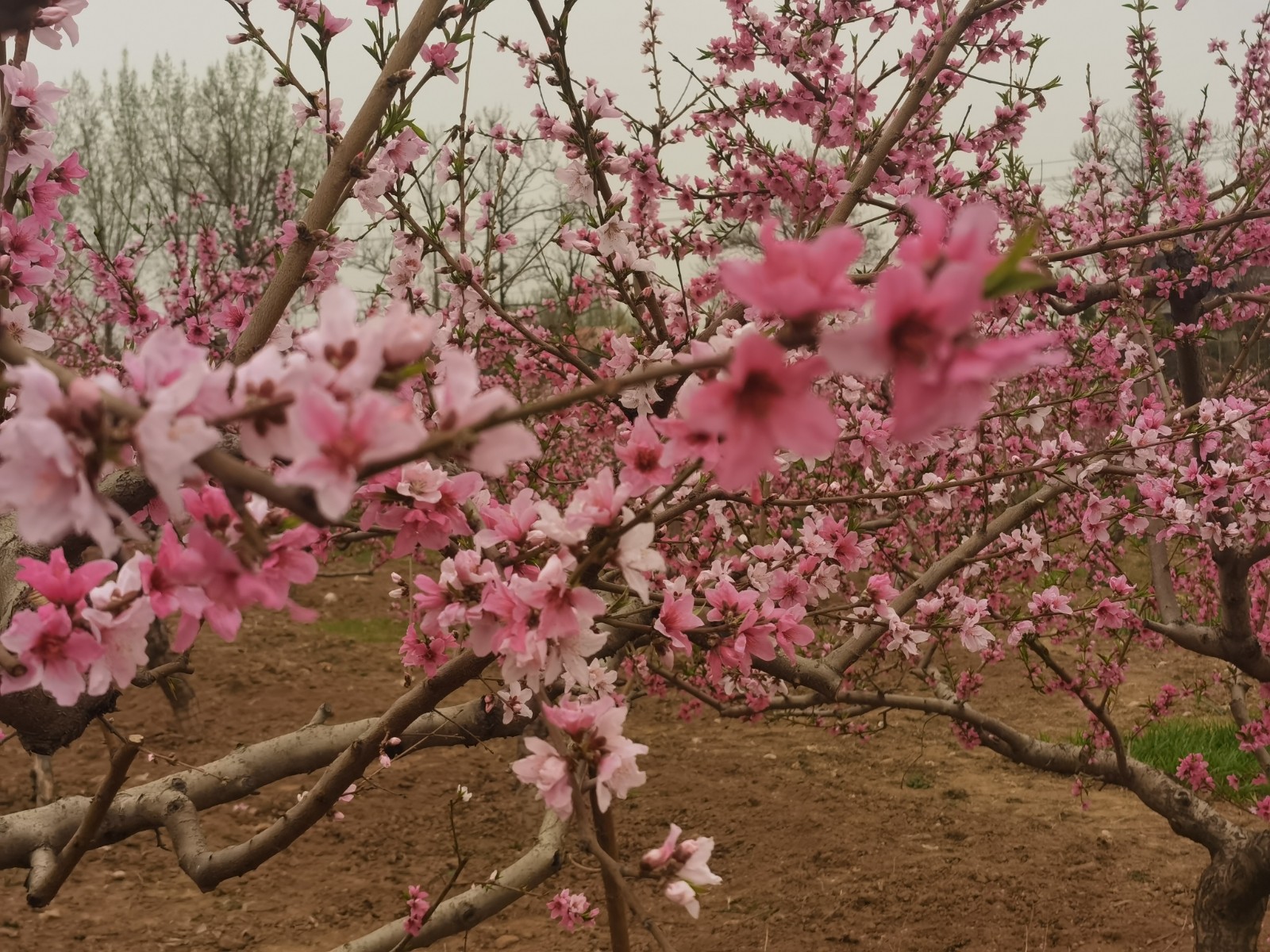 微信图片_202203310851035