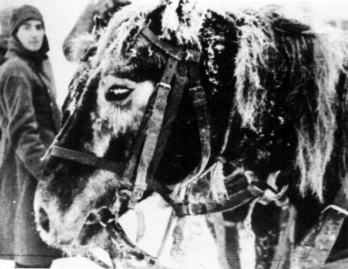 pagenumber_ebook=67,pagenumber_book=63