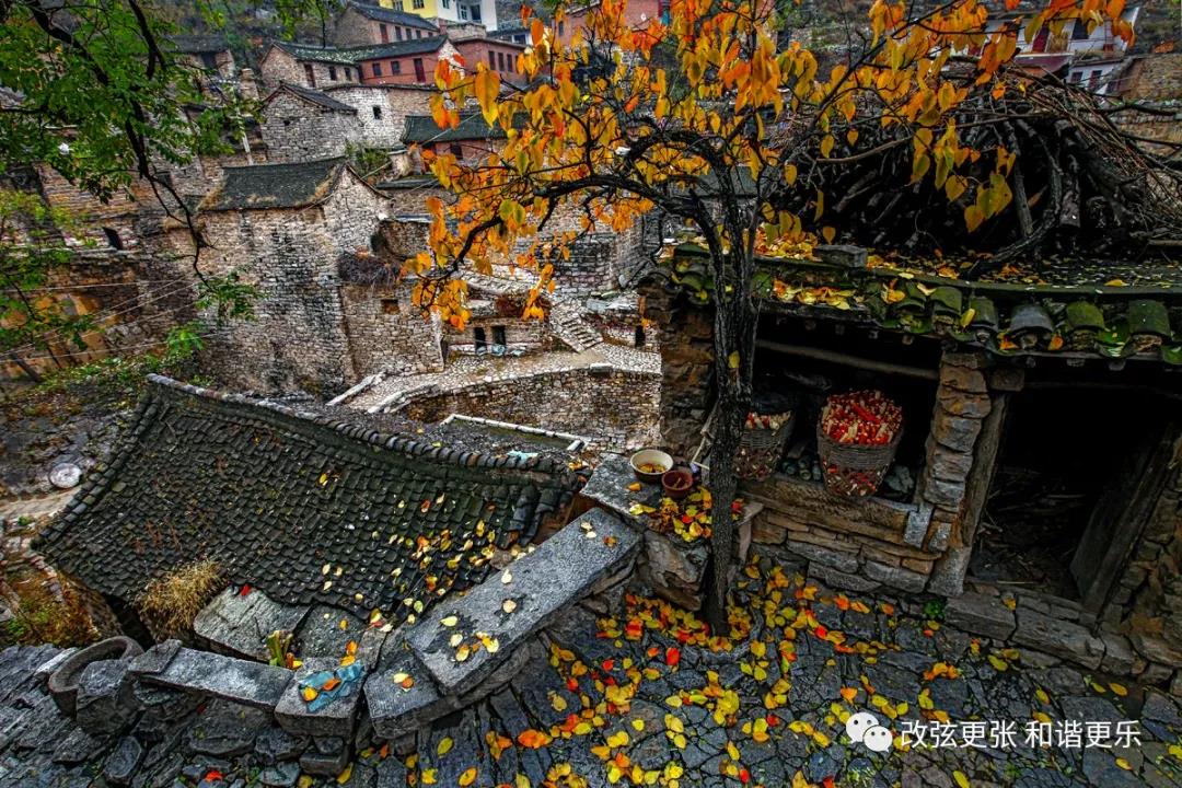 微信图片_20210917150303