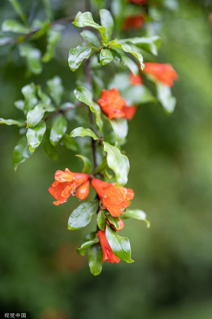 c29aeacc9b95237cc96c7abcfd3adbe2 c29aeacc9b95237cc96c7abcfd3adbe2.jpg