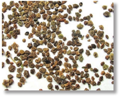 pagenumber_ebook=120,pagenumber_book=107