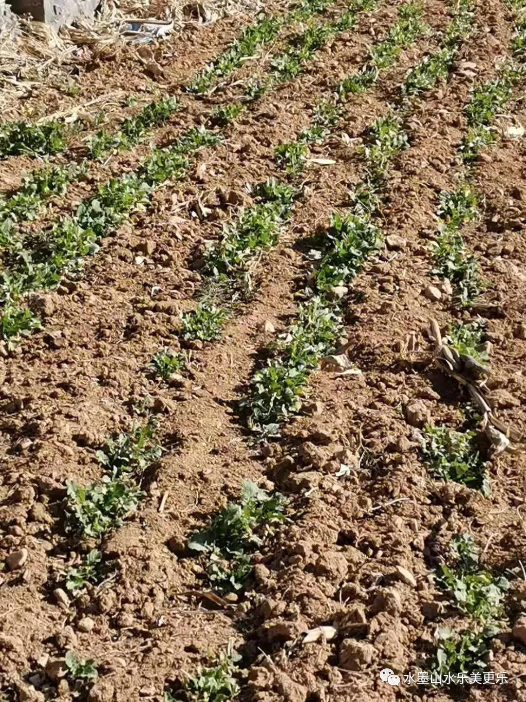 微信图片_20210220092215