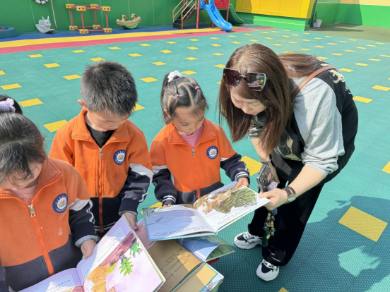 image image.png?v=1763879668505