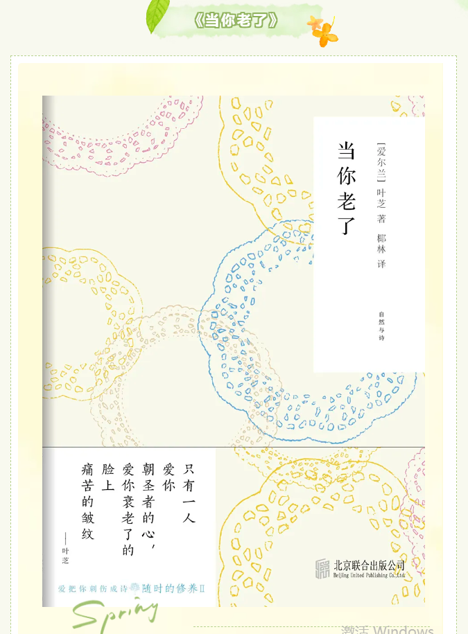 image.png?v=1749338412412