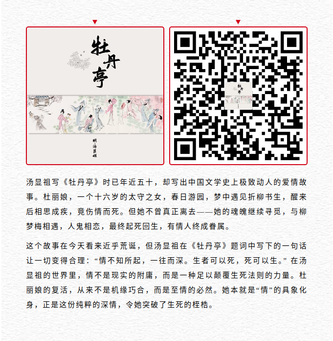 image.png?v=1787517388991