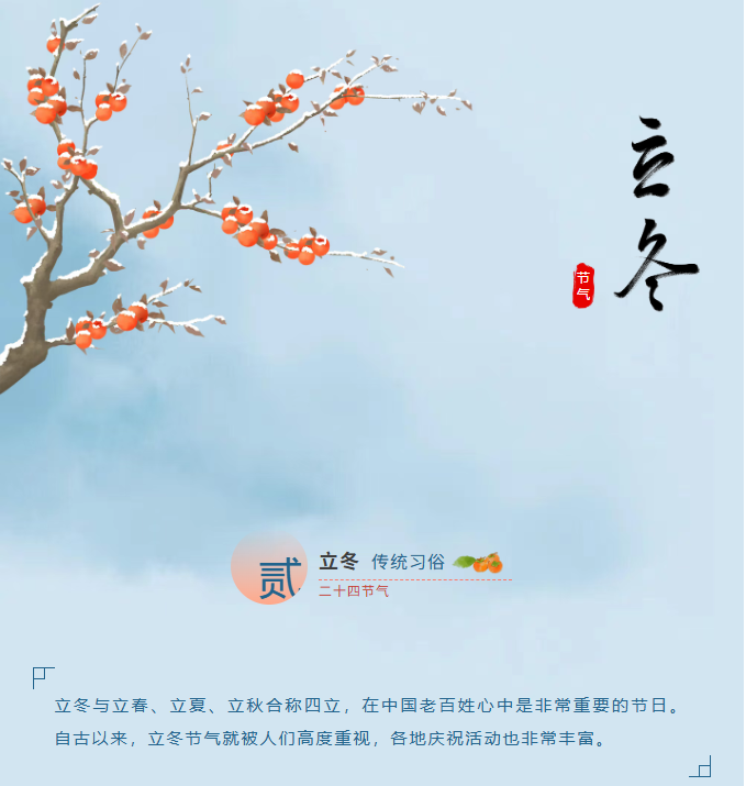 image.png?v=1766280835487