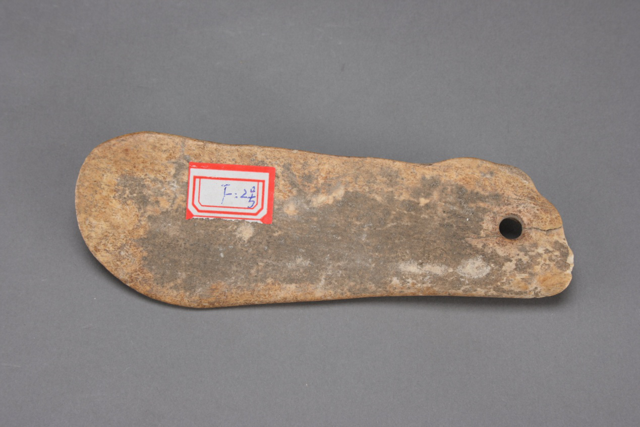 图片11 图片11.png