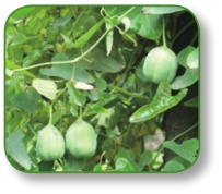 pagenumber_ebook=221,pagenumber_book=208