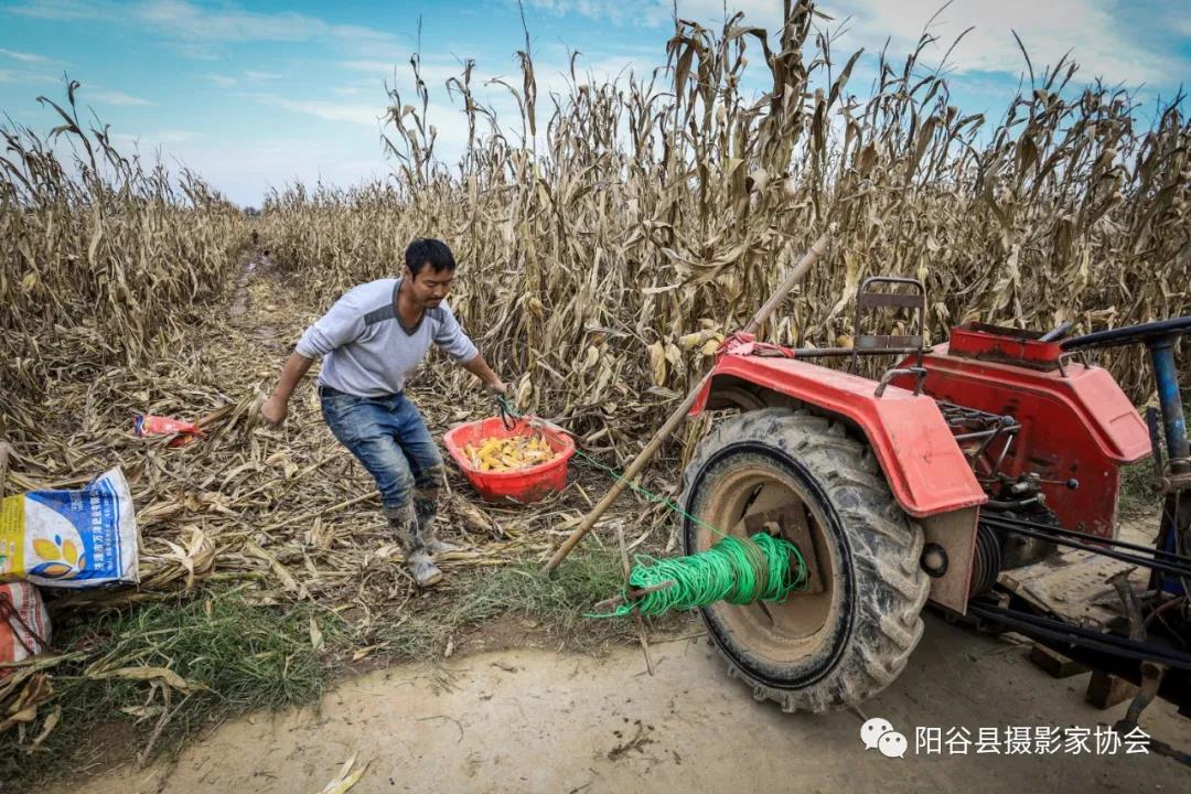 微信图片_20211222111344