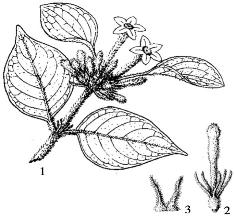 pagenumber_ebook=188,pagenumber_book=188