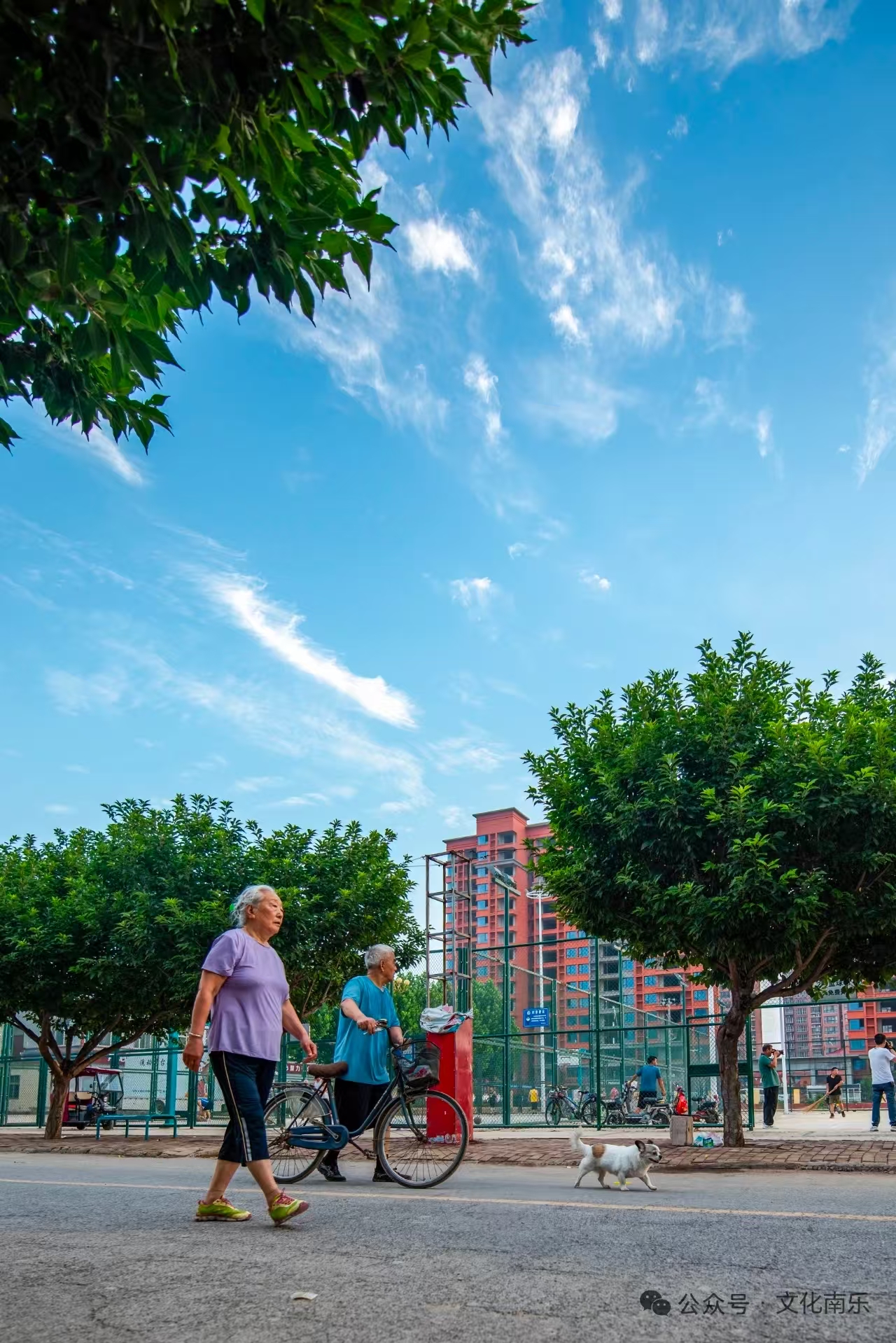 微信图片_20260507083332_74_132 微信图片_20260507083332_74_132jpg