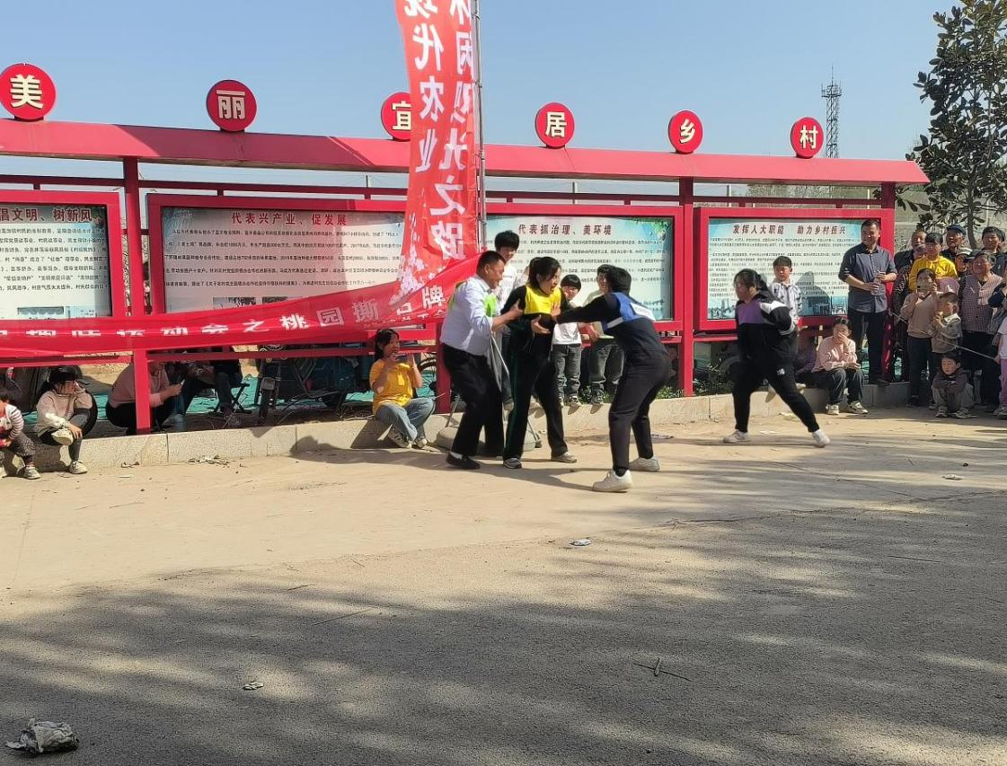 【莘县】观城镇第三届桃花文化旅游节之桃园撕名牌