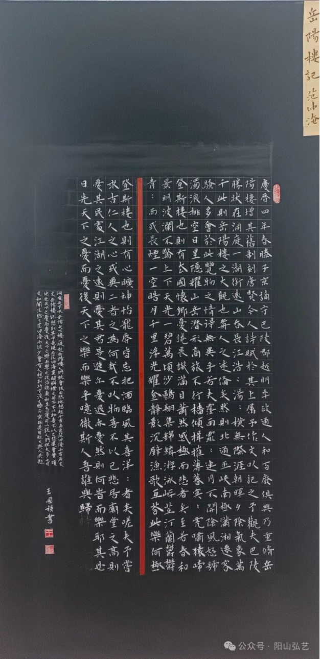 40 40.jpg?v=1772870153787