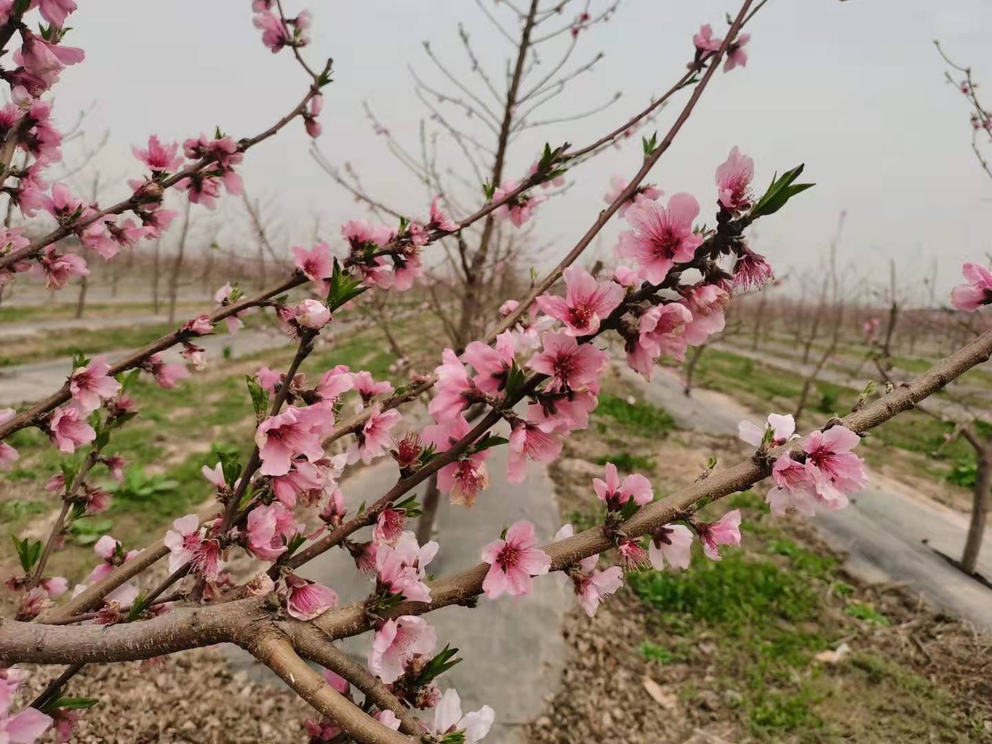 d7c58a47eed4083ed787c0fae06f32d d7c58a47eed4083ed787c0fae06f32d.jpg