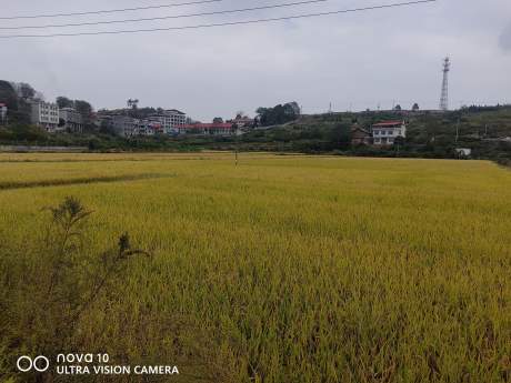 图片 4 图片 4.png