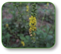 pagenumber_ebook=171,pagenumber_book=158