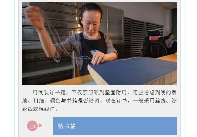 image.png?v=1754275719565