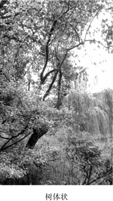 pagenumber_ebook=112,pagenumber_book=112