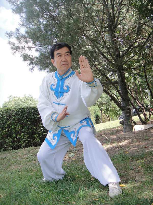 岳氏意拳