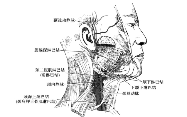 pagenumber_ebook=87,pagenumber_book=78