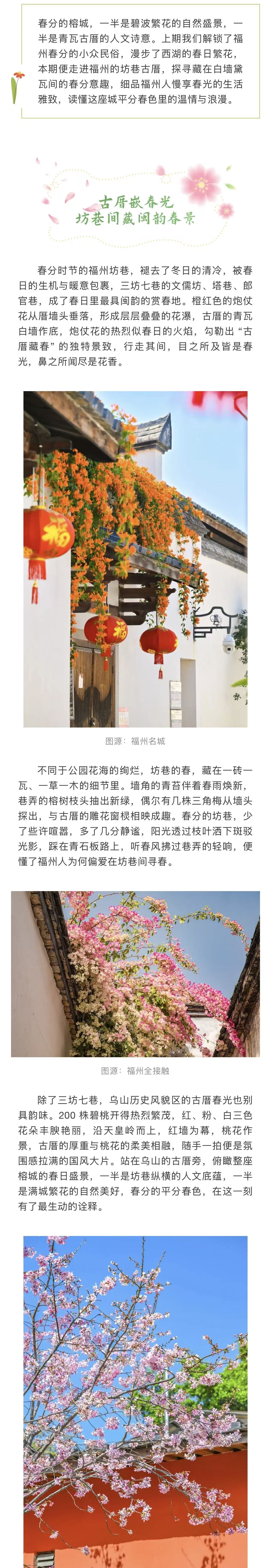 20260320【资讯】春分到，福满榕！来福州，赴一场平分春色之约（下）3jpg