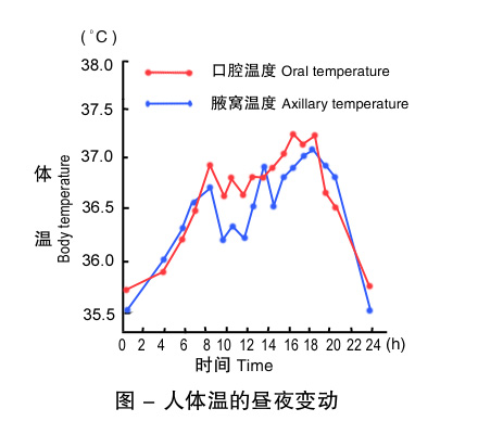 2-人体温的昼夜变动 .jpg