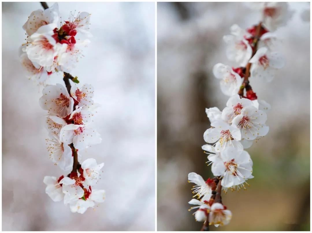 微信图片_20210406102541 微信图片_20210406102541.jpg