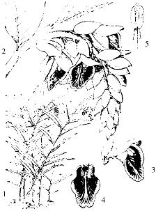 pagenumber_ebook=265,pagenumber_book=265