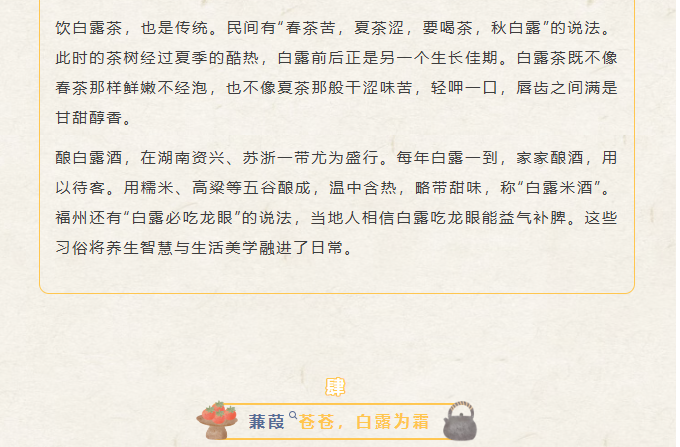 image.png?v=1788858041626