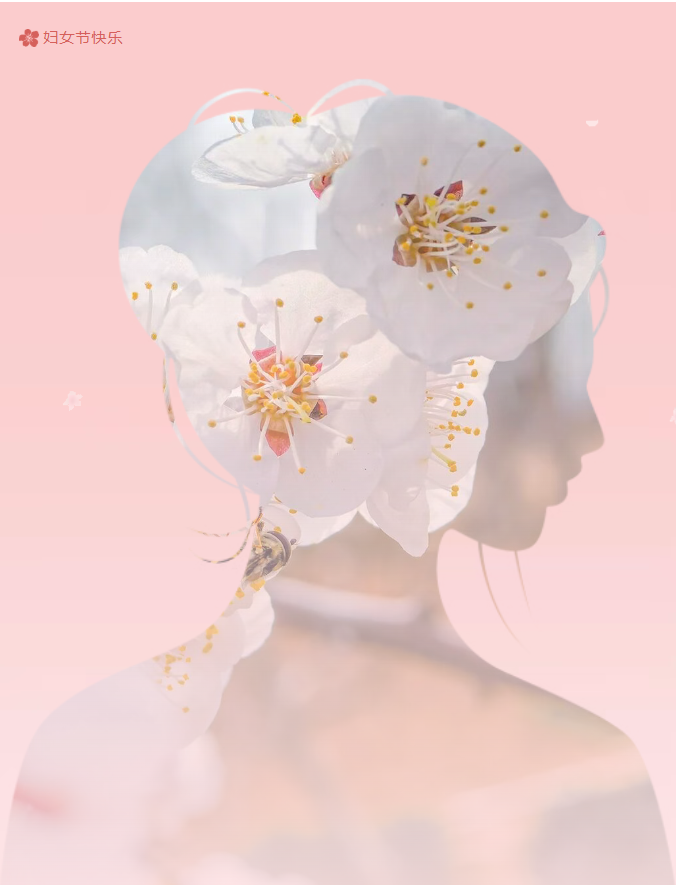 image.png?v=1774110504805