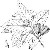 pagenumber_ebook=142,pagenumber_book=142