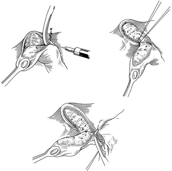 pagenumber_ebook=433,pagenumber_book=418