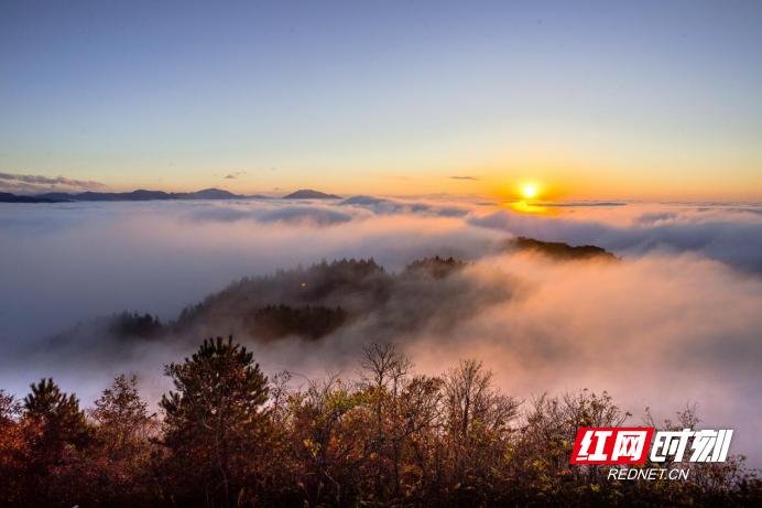 微信图片_20220519205128 微信图片_20220519205128.png