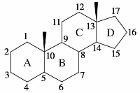 pagenumber_ebook=250,pagenumber_book=250