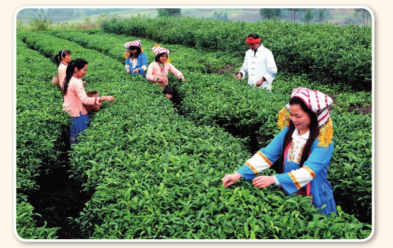 pagenumber_ebook=166,pagenumber_book=156