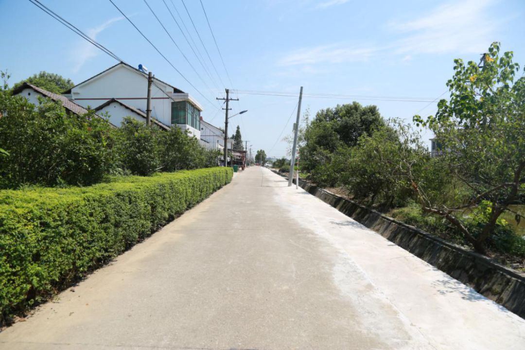 5 5.jpg?v=1765771807275