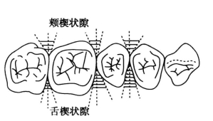 pagenumber_ebook=240,pagenumber_book=231