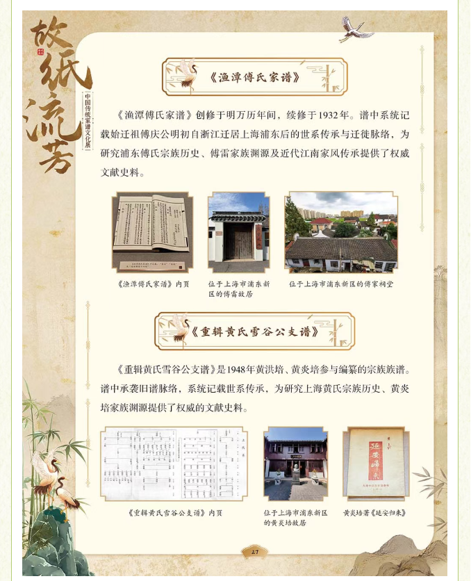 image.png?v=1775271545637